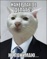 И не говори, я вот тоже про твой камент так щитаю...