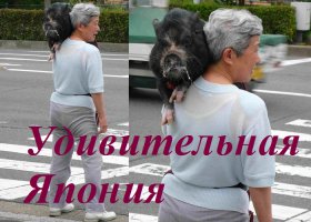 Япония, что ты делаешь? Прекрати!