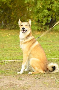 Было вот такое маленькое чудо, а потом она выросла...)