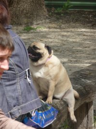 У нас в Ростове тоже как-то проходила выставка и я не мог не сфотографировать одного болельщика))