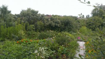 Мне 40 лет,открыл для себя дачу 8 лет назад,когда поняли,что хочется ездить на природу,а особо некуда..Купили 2 совмещенных участка по 6 соток. Половина под газон,другая половина под малину,клубнику,кабачки,помидорки и т.д. Возвели 2-х этажную баньку. Теперь каждую пятницу выезжаем туда и на все выходные! Красота!