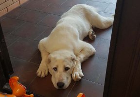 у меня такой же друг :)