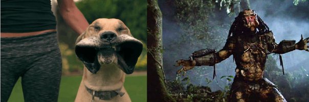 По моему похожи :)