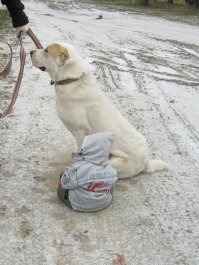 СИИДЕЕТЬ!!! :-)