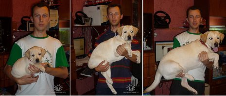 Вот моя псинка: 1мес, 3мес, 6мес