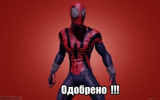 Пост для любителей пауков