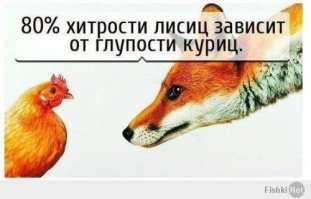 Как разводят на Форексе