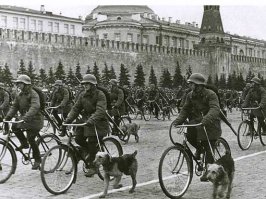 Немного дополню.
Первое упоминание о боевом применении велосипеда относится к 1870 году. Тогда во время Франко-прусской войны из осажденного Парижа на этом транспортном средстве удалось прорваться одному из посыльных. В 1885-м в Великобритании была создана воинская часть, личный состав которой на высоких велосипедах с большим передним колесом был способен быстро перемещаться и даже противостоять кавалерии. В Англо-бурской войне британская армия успешно применяла велосипеды уже в массовом порядке. Еще через некоторое время велосипедные части были созданы во Франции, Германии, Италии, Бельгии, Швейцарии, Китае, Японии…
В 1887 г. князь Б. Потемкин написал книгу «Велосипед и его применение в военном деле». В России появление самостоятельных велосипедных, или, как тогда говорили, самокатных, подразделений относится к 1897 году, когда была развернута первая отдельная самокатная команда...
На первом фото: строевая самокатная команда на параде под Белостоком, 1897 год. Перед фронтом строя проезжает генерал Плюцинский.
На втором: парад на Красной площади 1 мая 1941 года...
На третьем: наше время, велосипеды армии Швейцарии.