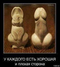 23 отпадные фото, на которых снова «показалось»