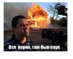 До конца не досмотрел