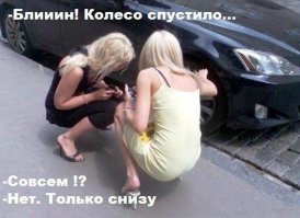 Очередная подборка автоприколов