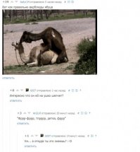 Смешные комментарии из соцсетей