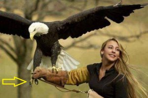 "Это должно висеть в каждом международном аэропорту Америки"
Да, неграмотное приземление американских лётчиков, может стоить вам жизни. ЛЕТАЙТЕ САМОЛЁТАМИ АЭРОФЛОТА !!!