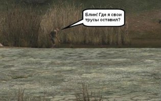 Природа захватывает Чернобыль