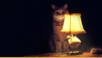 В роли ТП "выступил"!