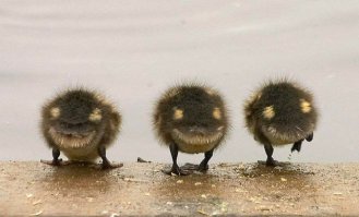 Лица вокруг нас 