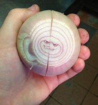 Лица вокруг нас 