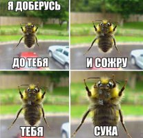 Репортер испугался гигантского жука