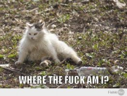 15 типичных моментов знакомых всем, у кого хоть раз было похмелье