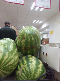 Лица вокруг нас 