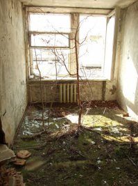 2007 год - зеленое это ковролин, как оно там выросло - хз
т.к. воды в помещении нет(отель Припять - 5й этаж)
