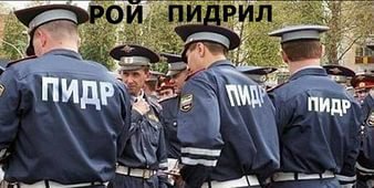 Из своего опыта. Ночью сбил пьяного- бежал через дорогу, размаивая пакетом (остановить пытался,бл*ть). Пара переломов, ЧМТ. Не в этом суть. В 200 метрах был пост ДПС. Машина ехала ПОЛТОРА ЧАСА!!! Типа бл*ть, им не положено на ДТП кататься. А когда все разрулили с приехавшим экипажем и скорой, я проехал мимо того поста. На нем стояло ШЕСТЬ машин ДПС. Я вышел из своей, пошел посмотреть на них. Эти сцуки день рождения чей то отмечали, бл*ть. Бухие в гавно человек 15. Отныне я их искренне и всей душой ненавижу!!!
Предлагаю подписать петицию, чтобы их П.И.Д.Р.-ами официально называть.
Полицейский Инспектор Дорожного Регулирования. И надпись во всю спину.
И звания-"Почетный П.И.Д.Р."1 степени, "Заслуженный ""П.И.Д.Р.", Глав П.И.Д.Р., П.И.Д.О.Р.А.С (Полицейский инспектор дорожного регулирования автомобильного сектора)