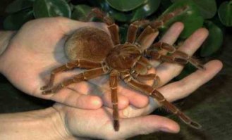 Очень красиво, не жарко, и нет существ как на этих фото: