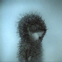 25 снимков, к которым нечего добавить 