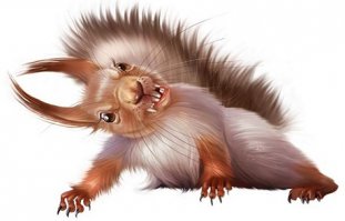 Русская белка любит копченого леща