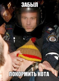 14 человек, настолько фотогеничных, что у них не бывает плохих фото