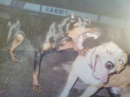 Вот такая тутуся была.