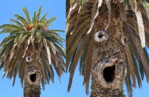 Лица вокруг нас 