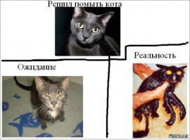 Воспитание детей: ожидание и реальность