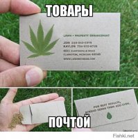 Подборка демотиваторов, которые поднимут вам настроение!
