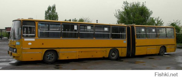 "гармошка" это ИКАРУС =) венгерские угловатые автобусы =)