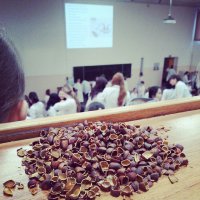 это киндер зюрпризы???