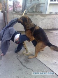 20 цитат Зигмунда Фрейда, которые заслуживают особого внимания