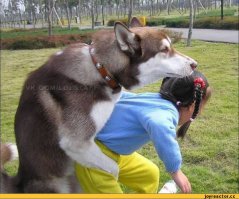 20 цитат Зигмунда Фрейда, которые заслуживают особого внимания