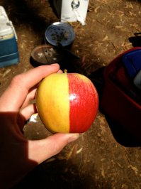 а вот это яблоко :
1. желтое, но наполовину красное 
или 
2. Красное, но наполовину желтое?