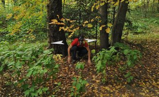 Это вообще яндекс-карты, а не google, Битцевский парк