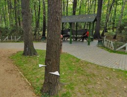 Это вообще яндекс-карты, а не google, Битцевский парк