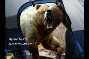 Выглядывая из палатки