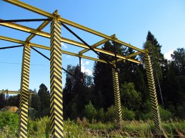 Краска хорошая - не выгорела.