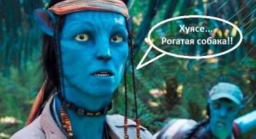 Дневник девочки, живущей в лесу