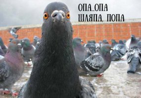 30 самых безумных шляп королевских скачек, которые трудно себе представить