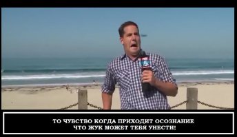 Репортер испугался гигантского жука