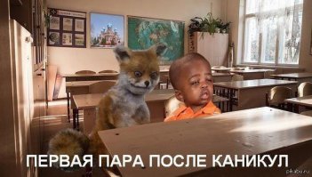 Начались, понеслись пары у студентов