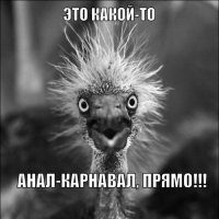 Чудики из социальных сетей