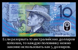 Как  неудачно вложить деньги