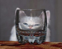 Показалось